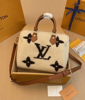 LV Bag
