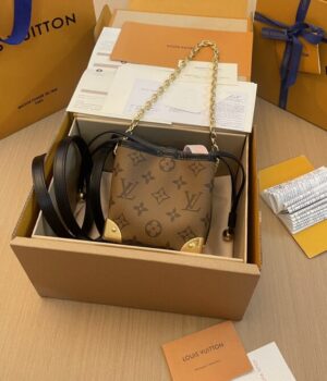 LV Bag