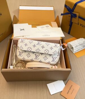 LV Bag