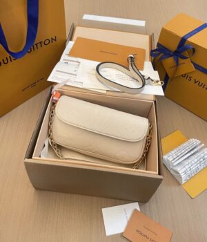 LV Bag