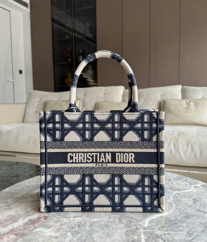 Dior Book Tote