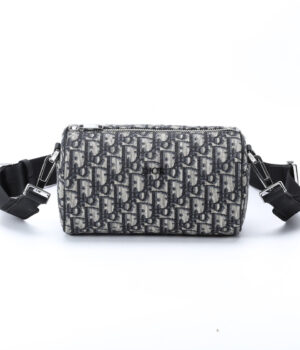 Dior Roller Oblique Bags
