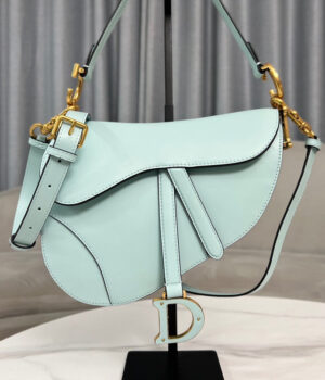 Dior Saddle Bag (25.5cm)