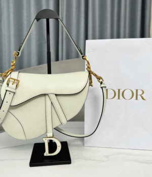 Dior Saddle Bag (25.5cm)