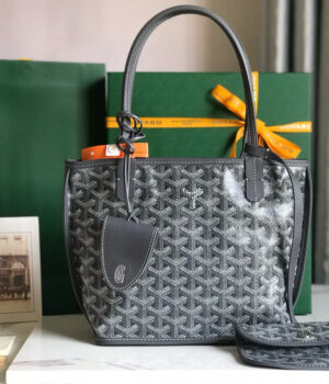 GOYARD ANJOU MINI 20*20*10