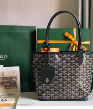 GOYARD ANJOU MINI 20*20*10