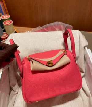Hermes Mini Lindy, 19cm, 8W, TC Skin