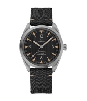 Omega Railmaster Black Replica