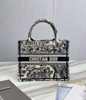 Dior BookTote