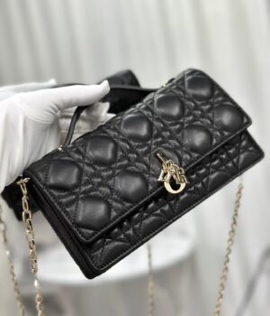 Dior Handcarry