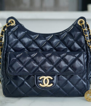 Chanel 23C Hobo Bag