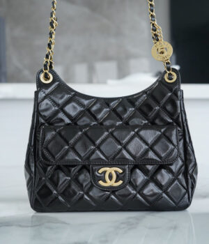 Chanel 23C Hobo Bag