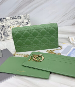 Dior WOC