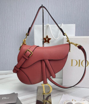 Dior Saddle