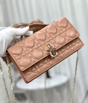 Dior Handcarry