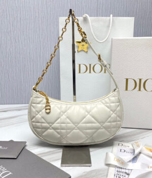 Dior Lounge Hobo