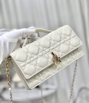 Dior Handcarry