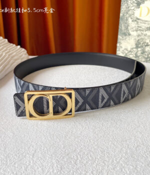 Dior Belts