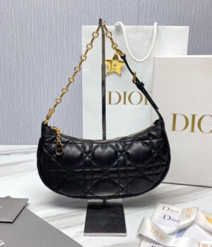 Dior Lounge Hobo