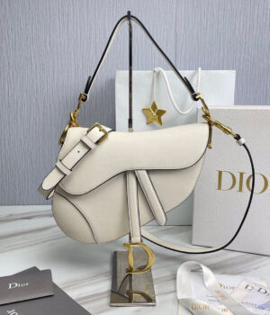 Dior Saddle