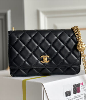 Chanel 23s WOC