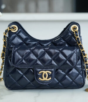 Chanel 23C Hobo Bag (small)