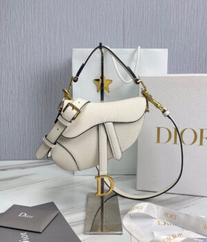 Dior Saddle