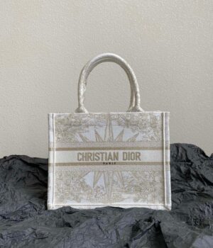 Dior BookTote (small)