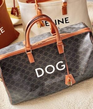 CELINE BAG