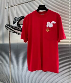 DIOR TSHIRT