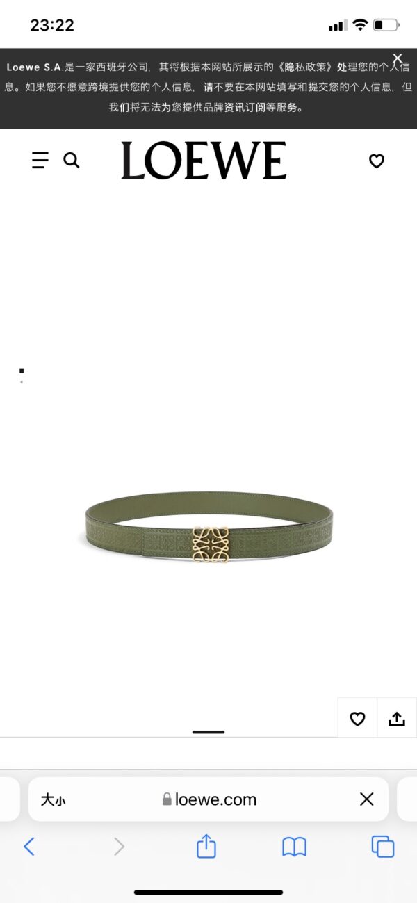 LOEWE BELT - Image 6