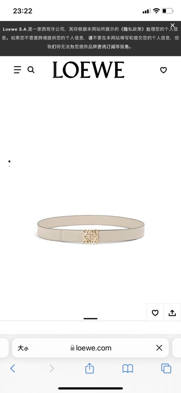 LOEWE BELT - Image 6