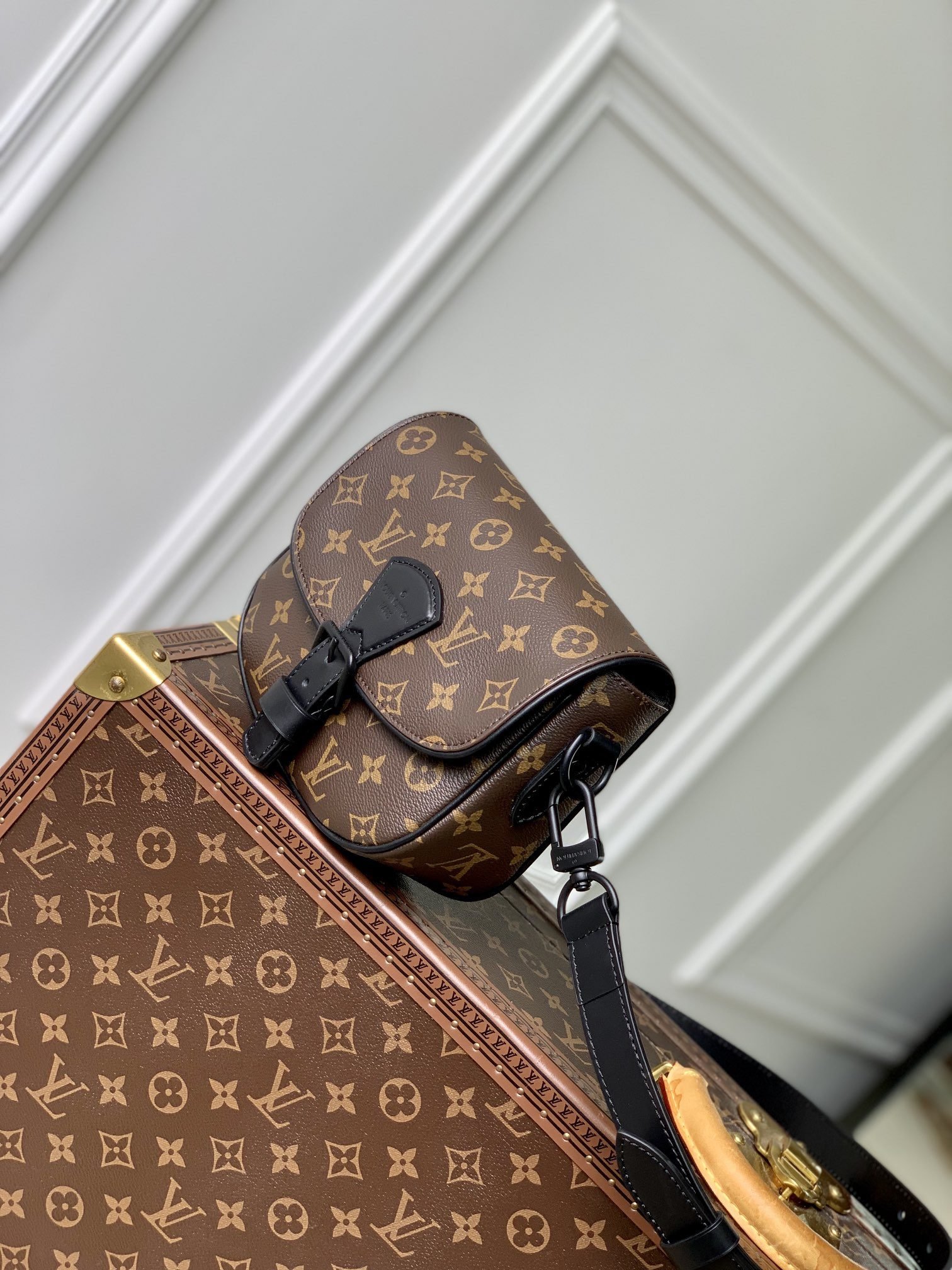LV BAG (M47060) - Image 3